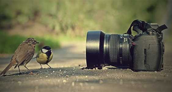 Profesyonel Fotoğrafcılık Kursu